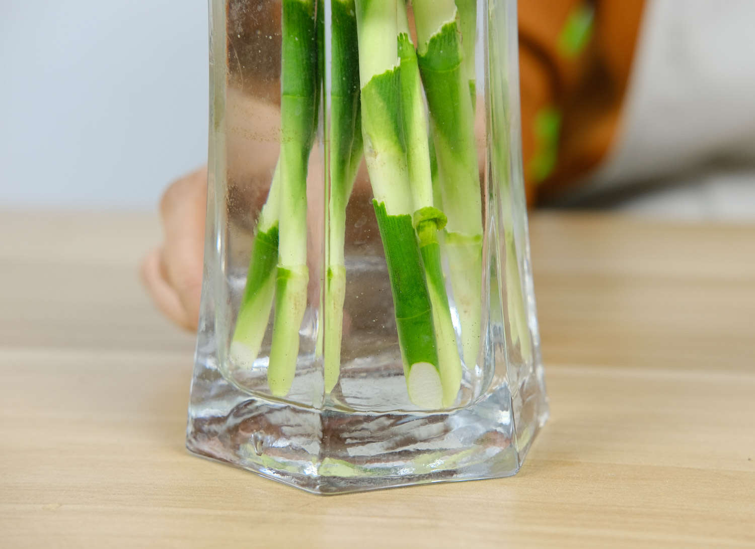 富贵竹 富贵竹