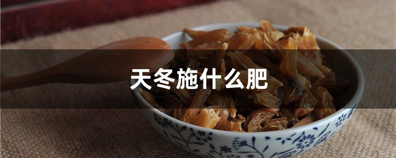 天冬施什么肥