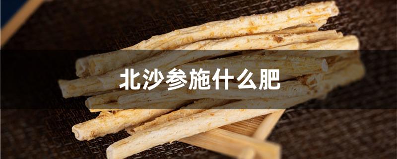 北沙参施什么肥