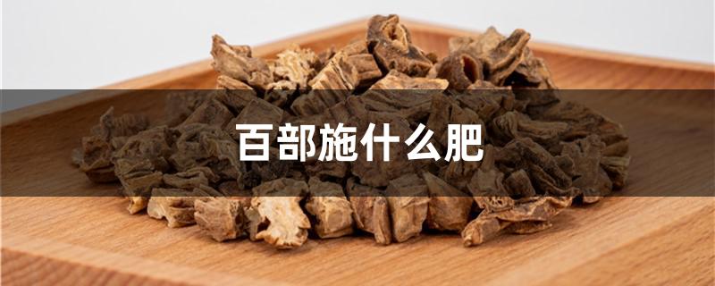 百部施什么肥