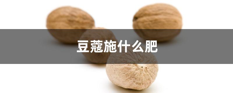 豆蔻施什么肥