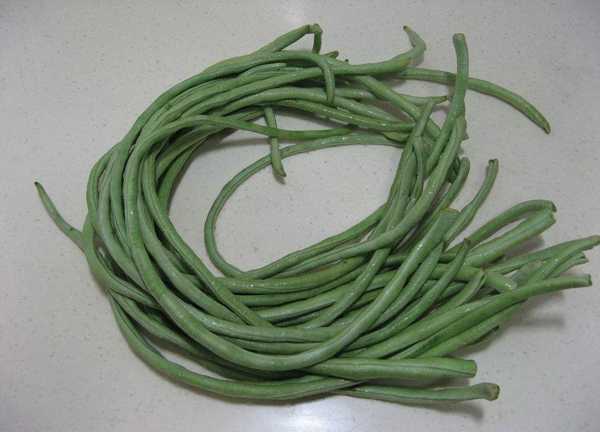 豇豆怎样育苗?高产豇豆种植技术 豇豆怎样育苗?高产豇豆种植技术