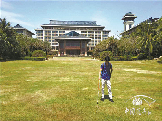 冷季型草坪如何安全越夏? 冷季型草坪如何安全越夏?