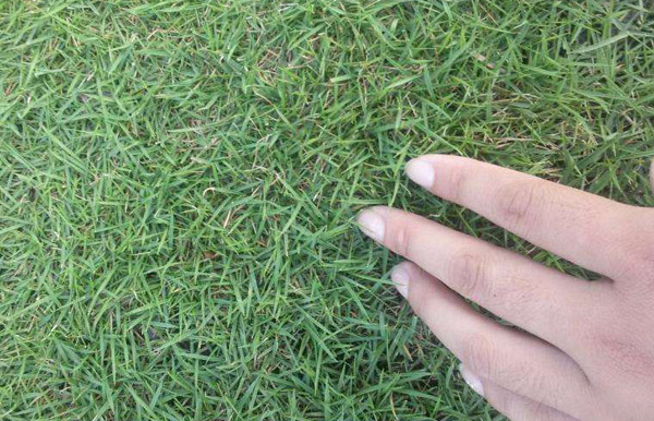 百慕大 百慕大