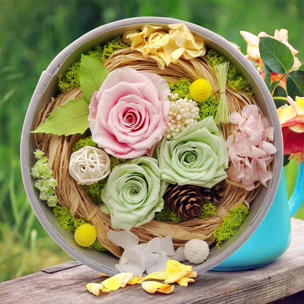 永生花的花语是什么？永生花的寓意和象征