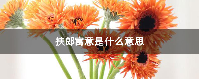 扶郎寓意是什么意思 扶郎寓意是什么意思